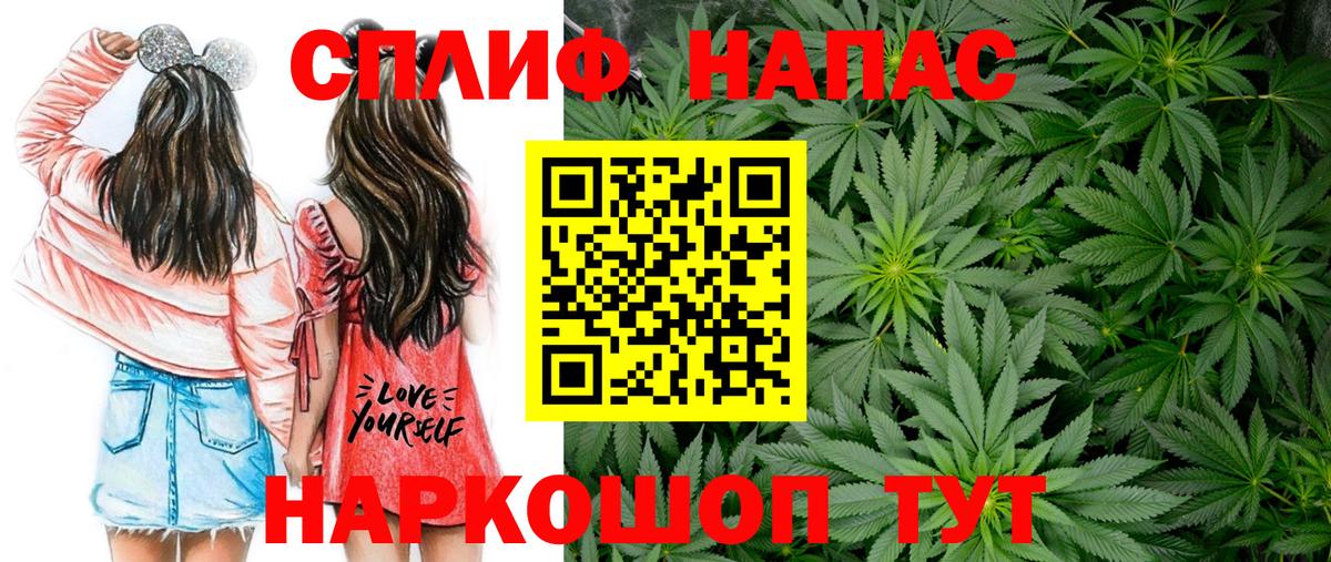Шишки марихуана планчик Тверь